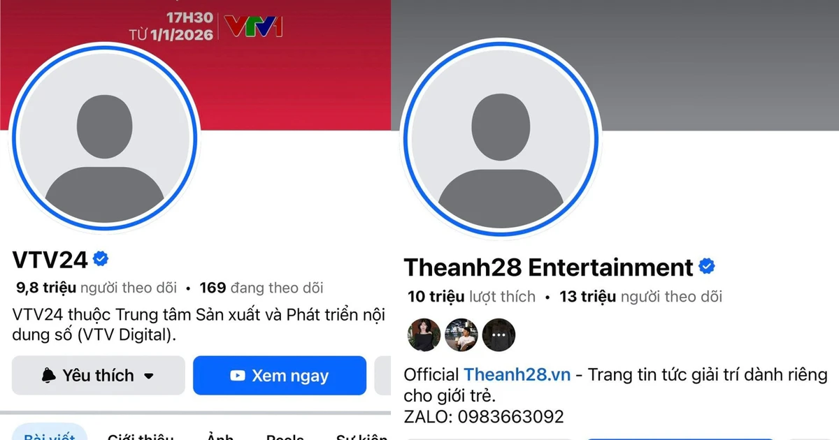 viettimes.vn
