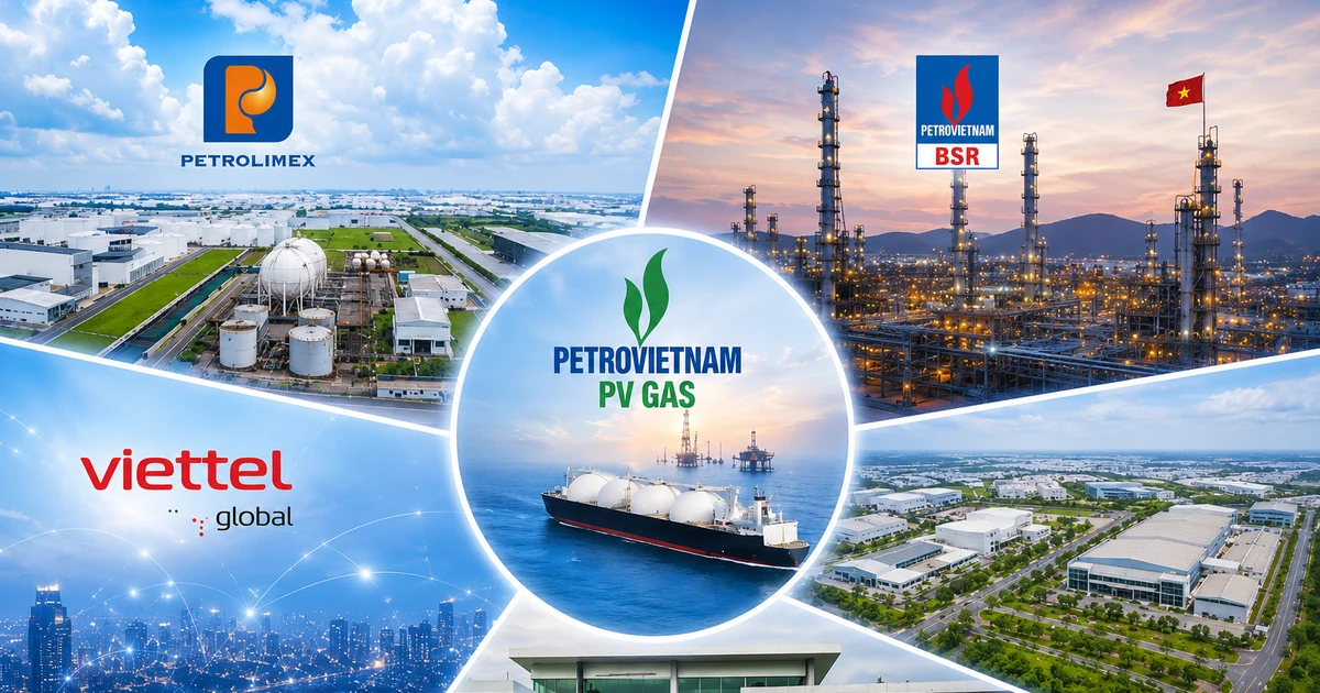 Chưa “đạt chuẩn” công ty đại chúng, vì sao doanh nghiệp Nhà nước ít nguy cơ bị hủy niêm yết?