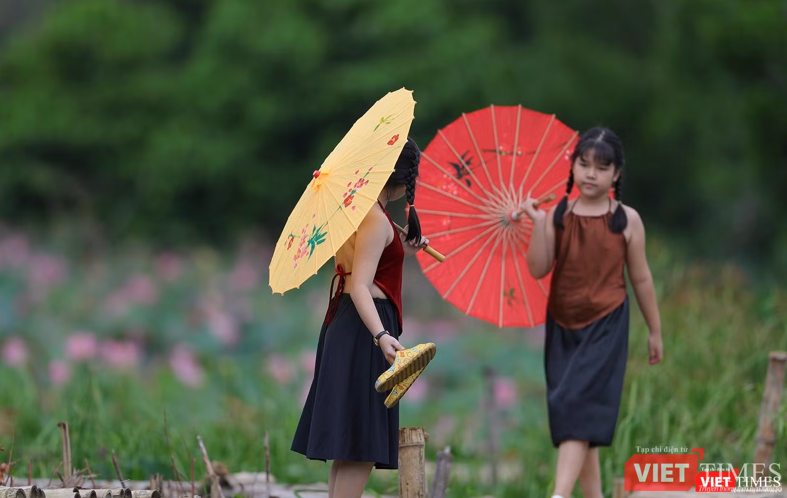 Cánh đồng sen thu hút cả nhưng em bé