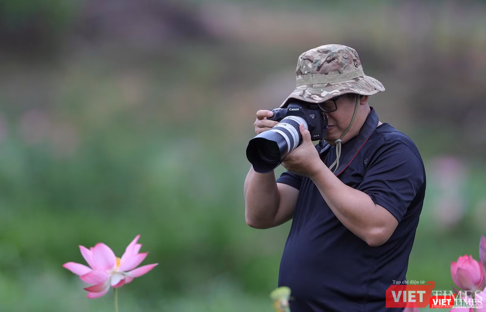 Vẻ đẹp của hoa sen thu hút rất đông giới mê ảnh