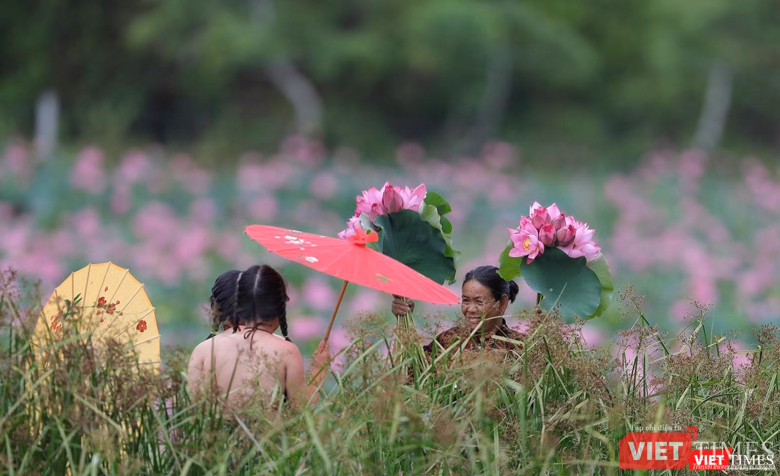 Du khách đổ về cánh đống sen