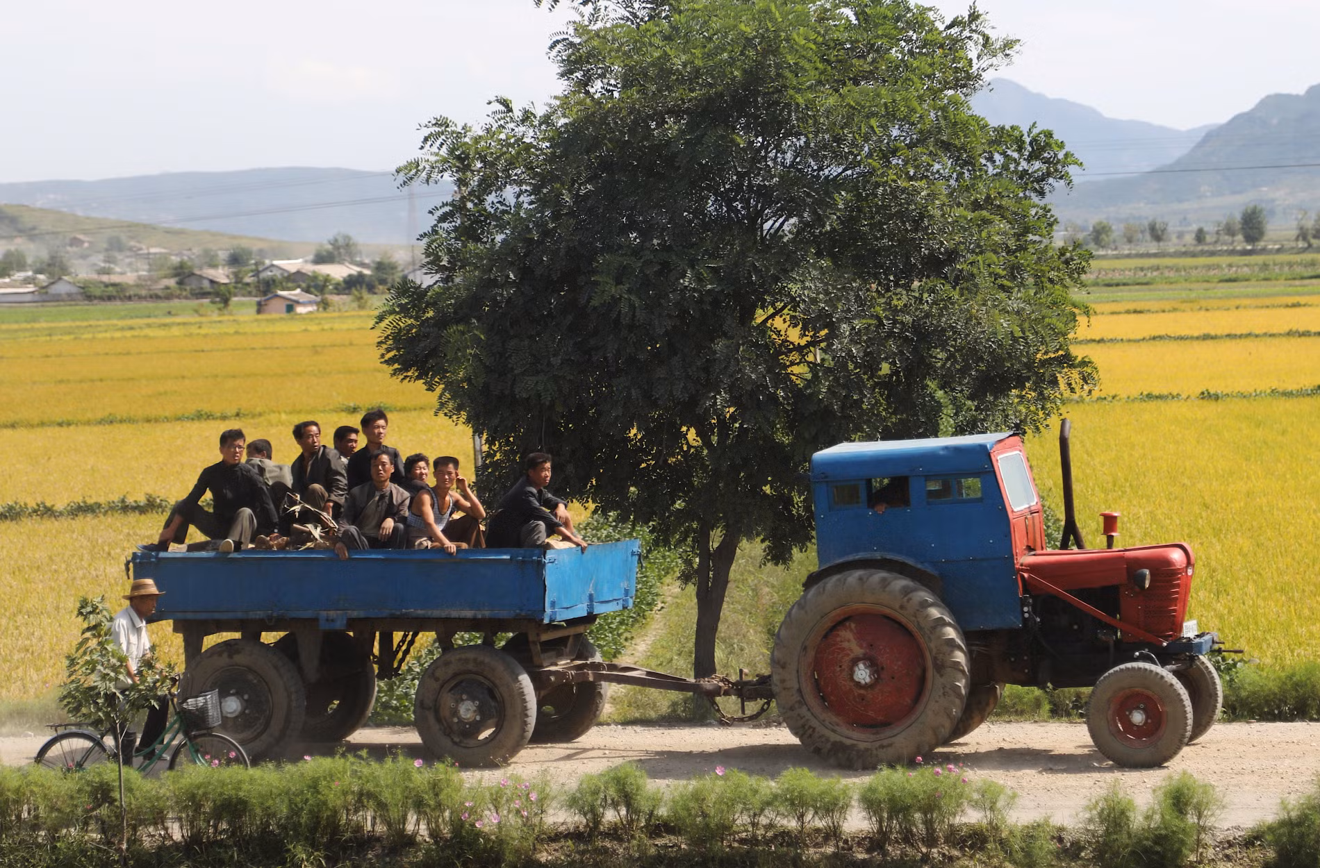 2B5A0115-tractor-wagon-6.jpg