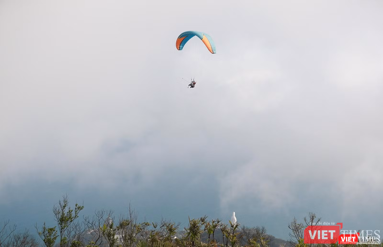 Lên đỉnh... Sơn Trà