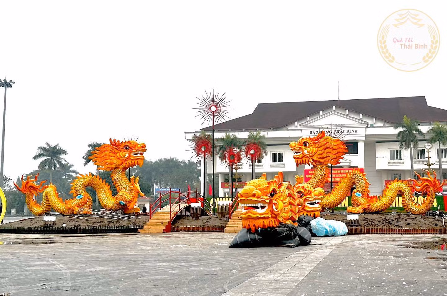 rong-thai-binh-2802.jpg