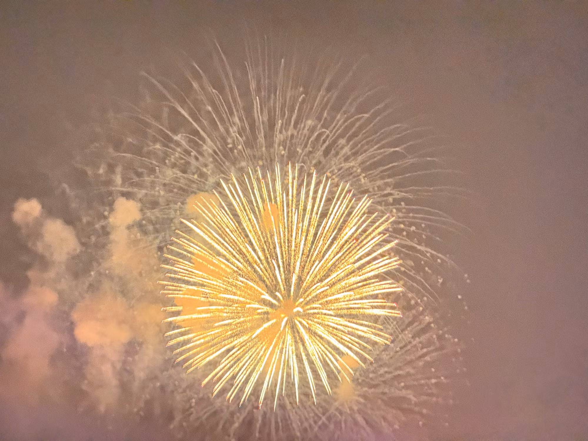 IMG_5918.jpeg