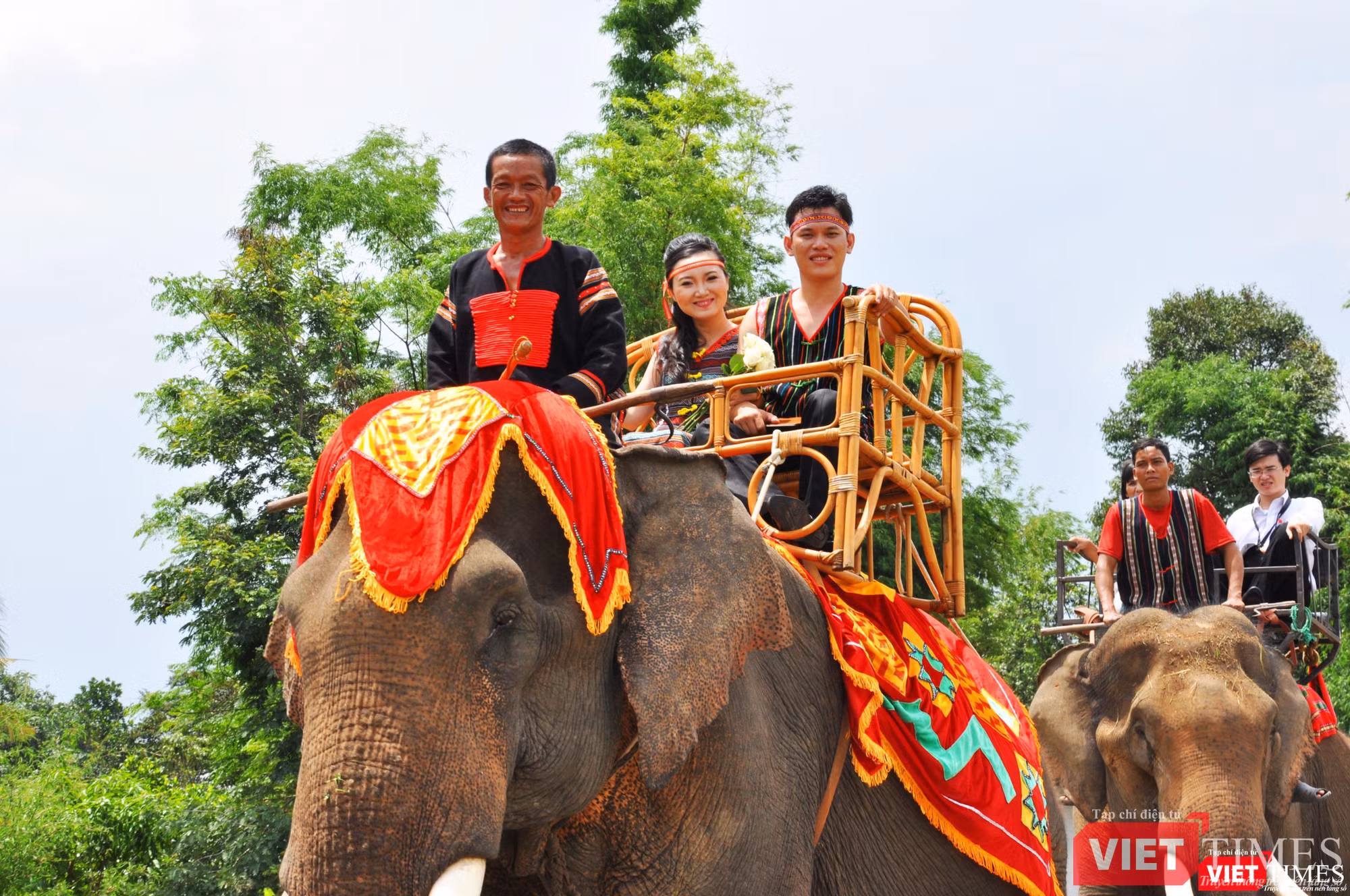 Nụ cười hạnh phúc, tươi tắn trên lưng voi