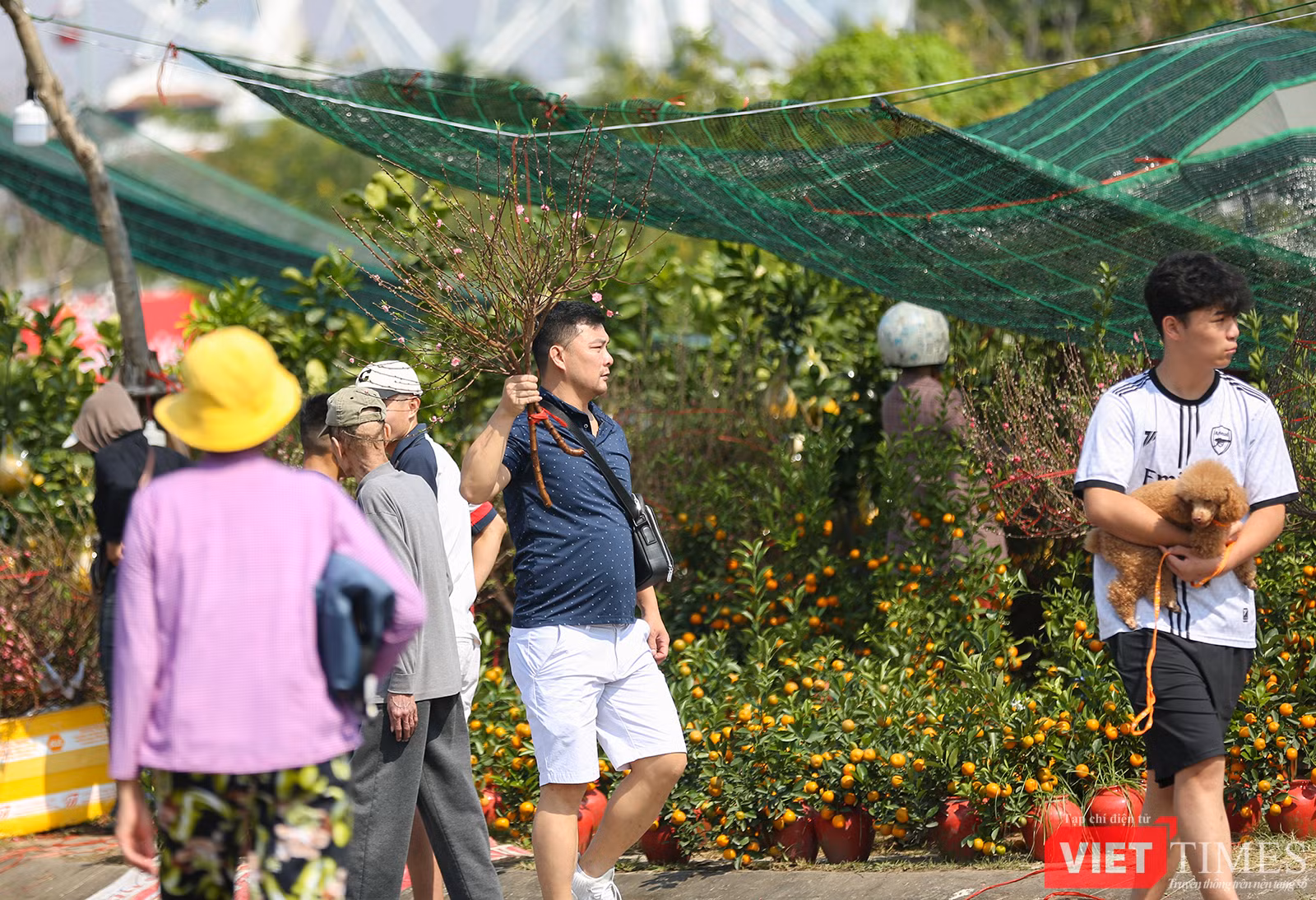 vt-duong-pho-tet-11-110.png