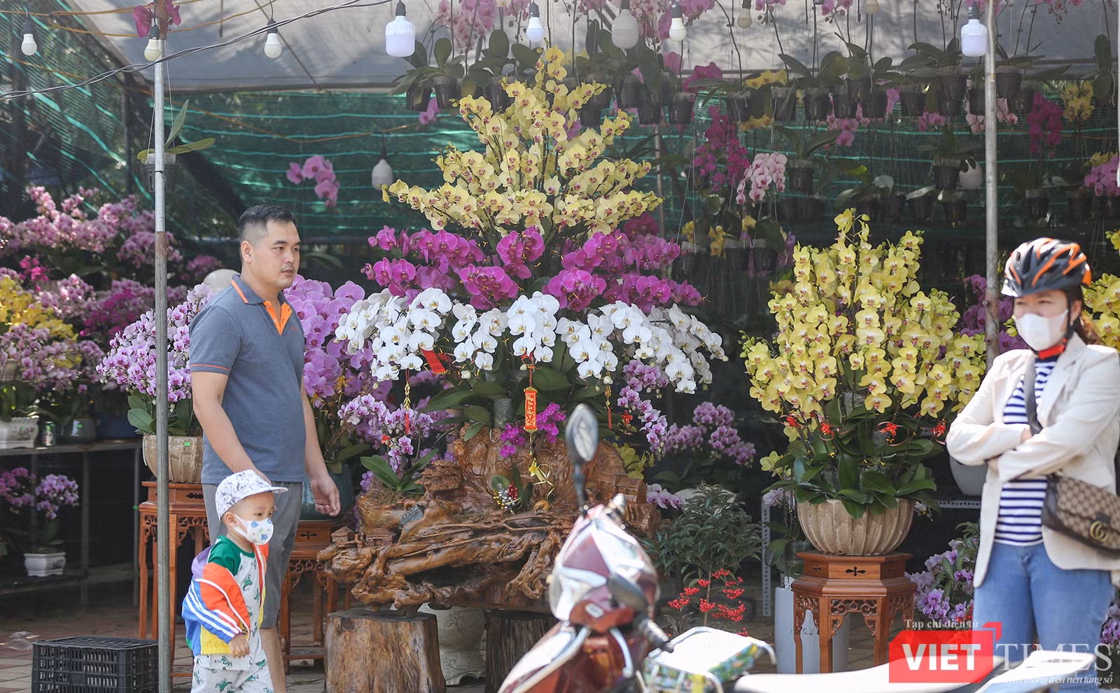vt-duong-pho-tet-8-390.png