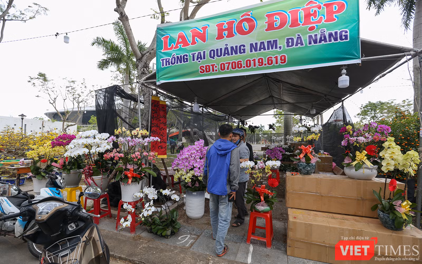 vt-cho-hoa-cuoi-nam-47-5781.png