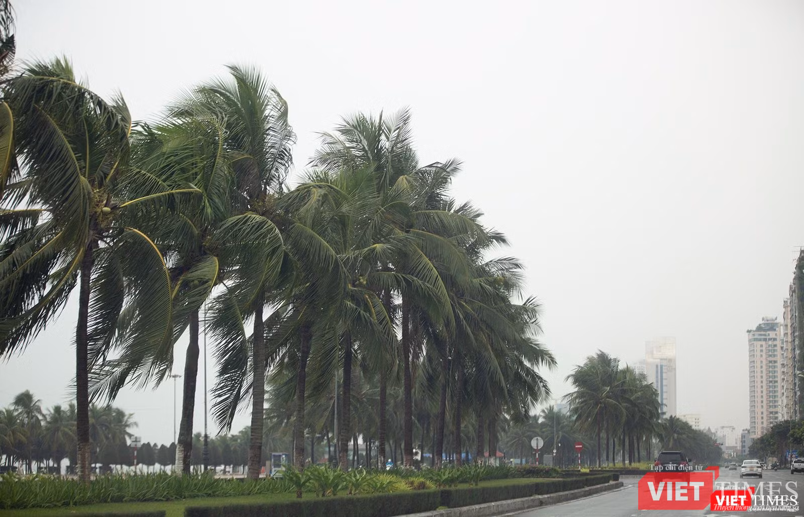 Gió bắt đầu lớn dần