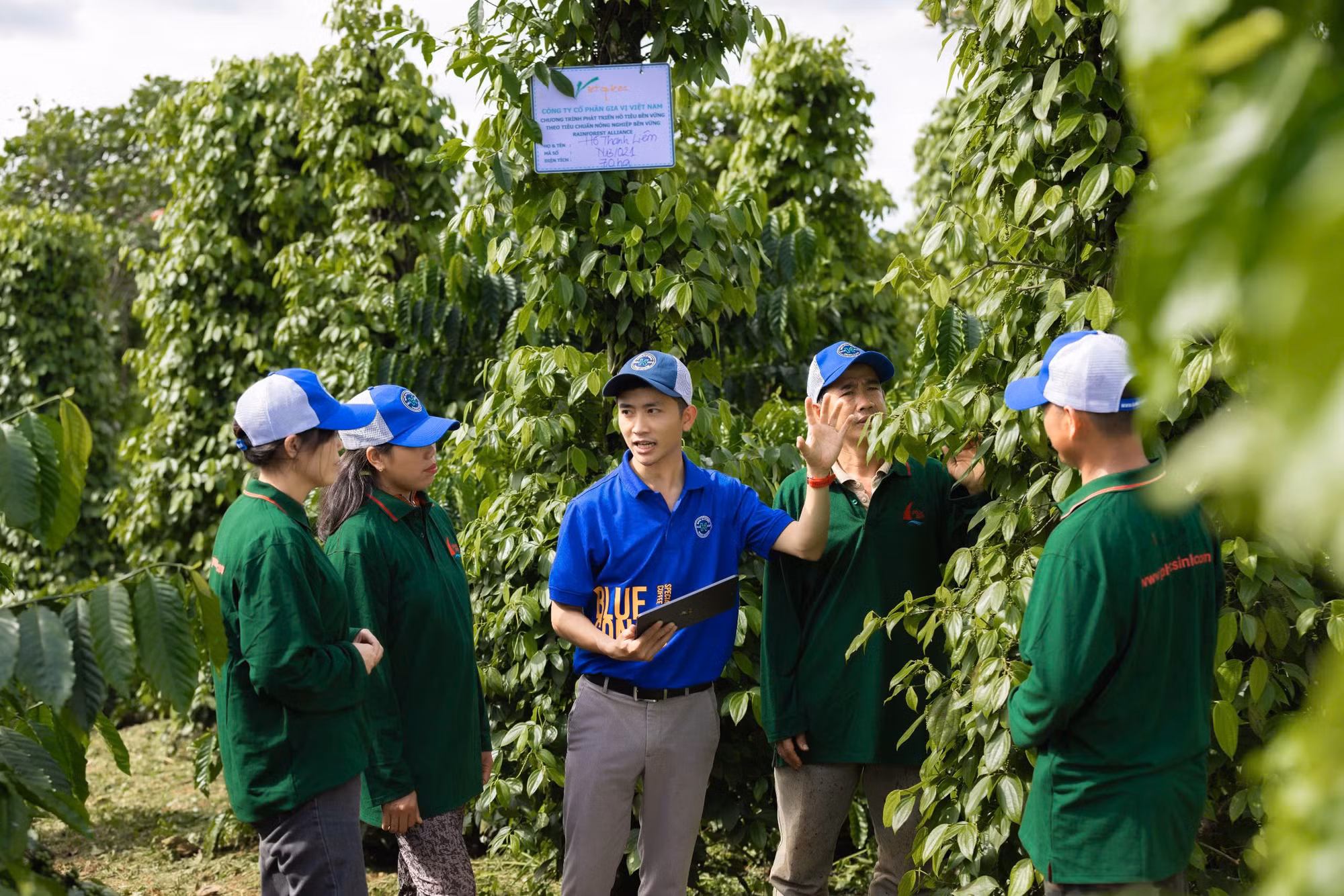 vùng trồng theo tiêu chuẩn châu Âu của Phúc Sinh.jpg