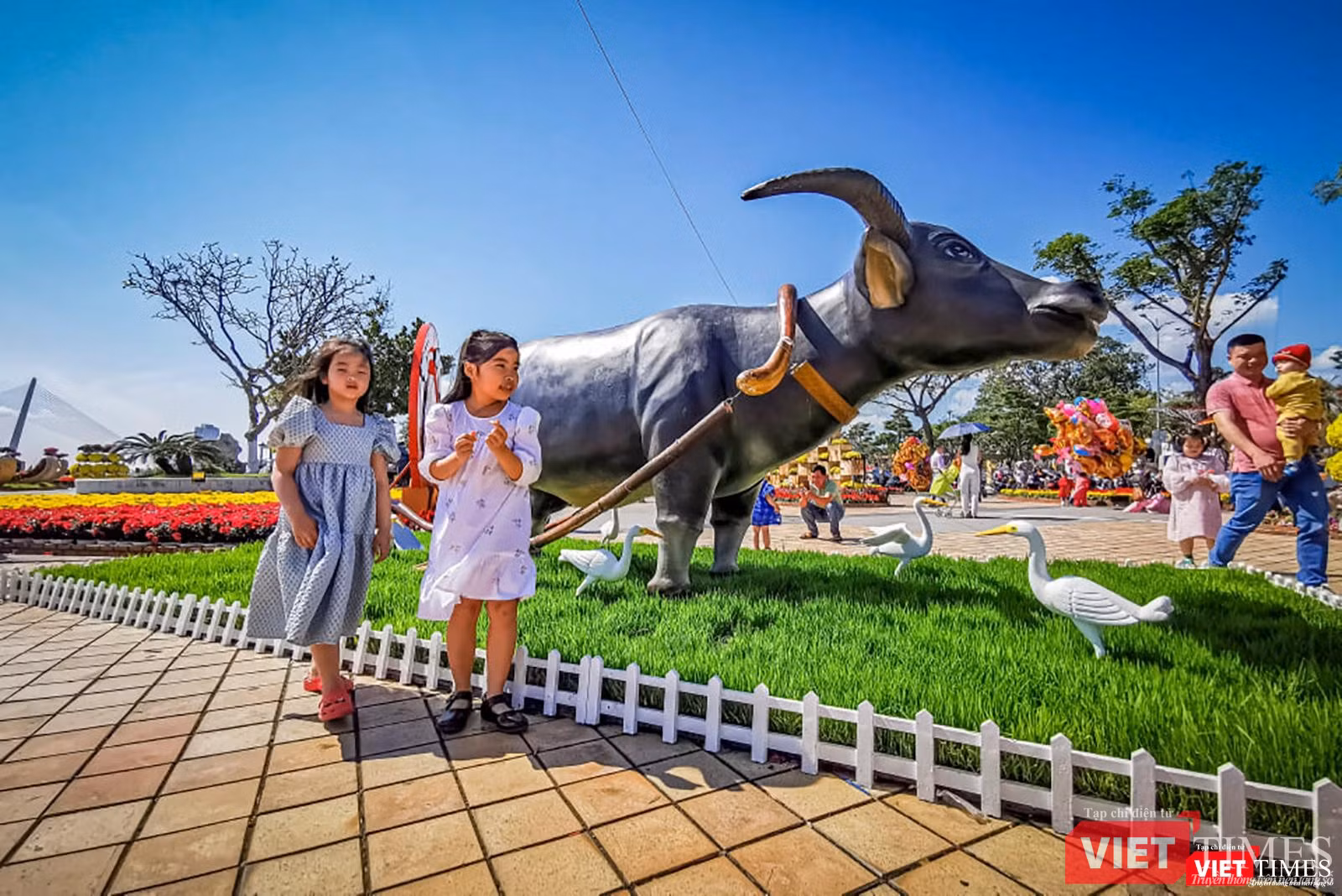 Tết "con trâu"(ảnh Minh Tú)
