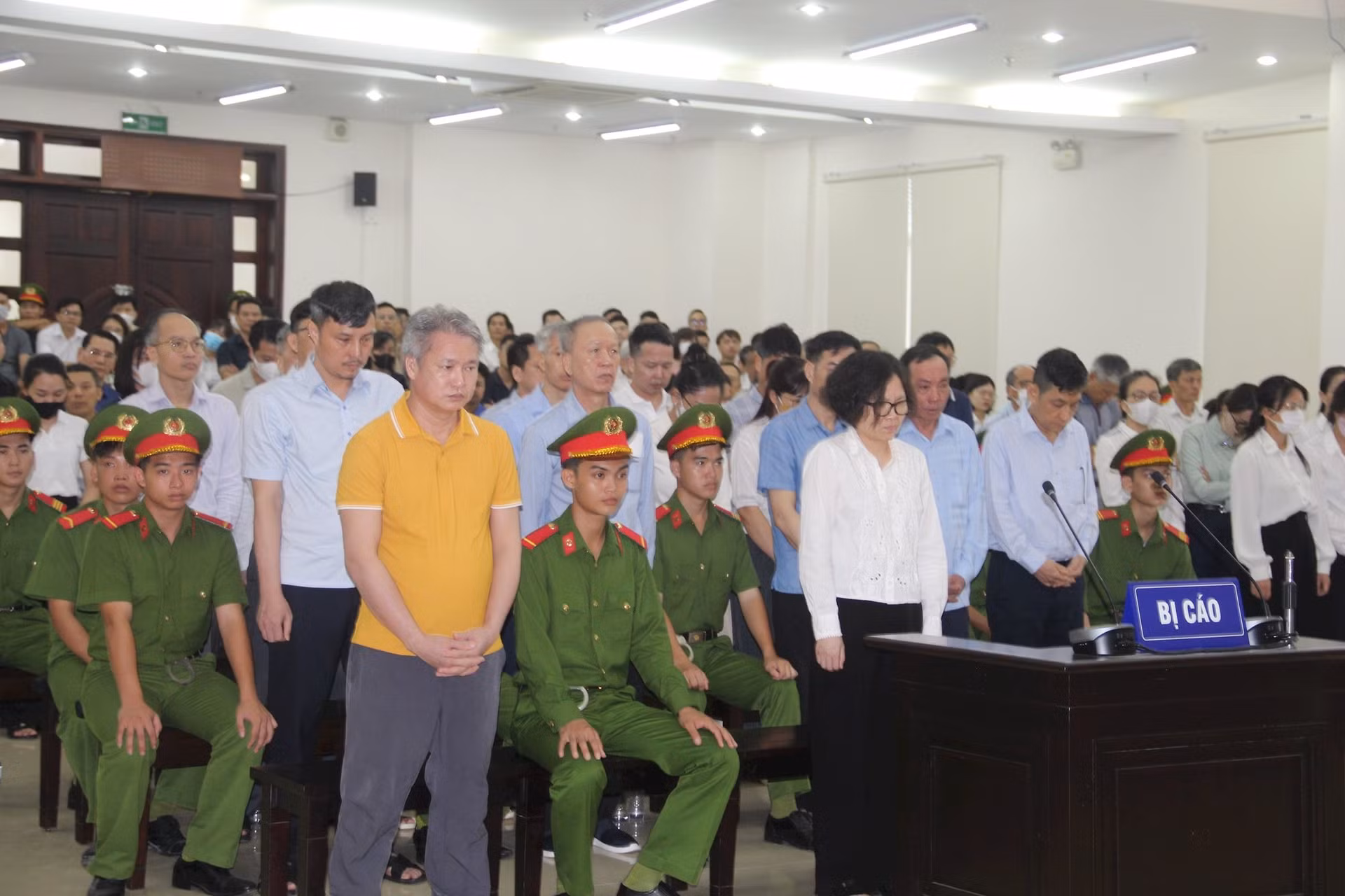 Anh 1.jpeg