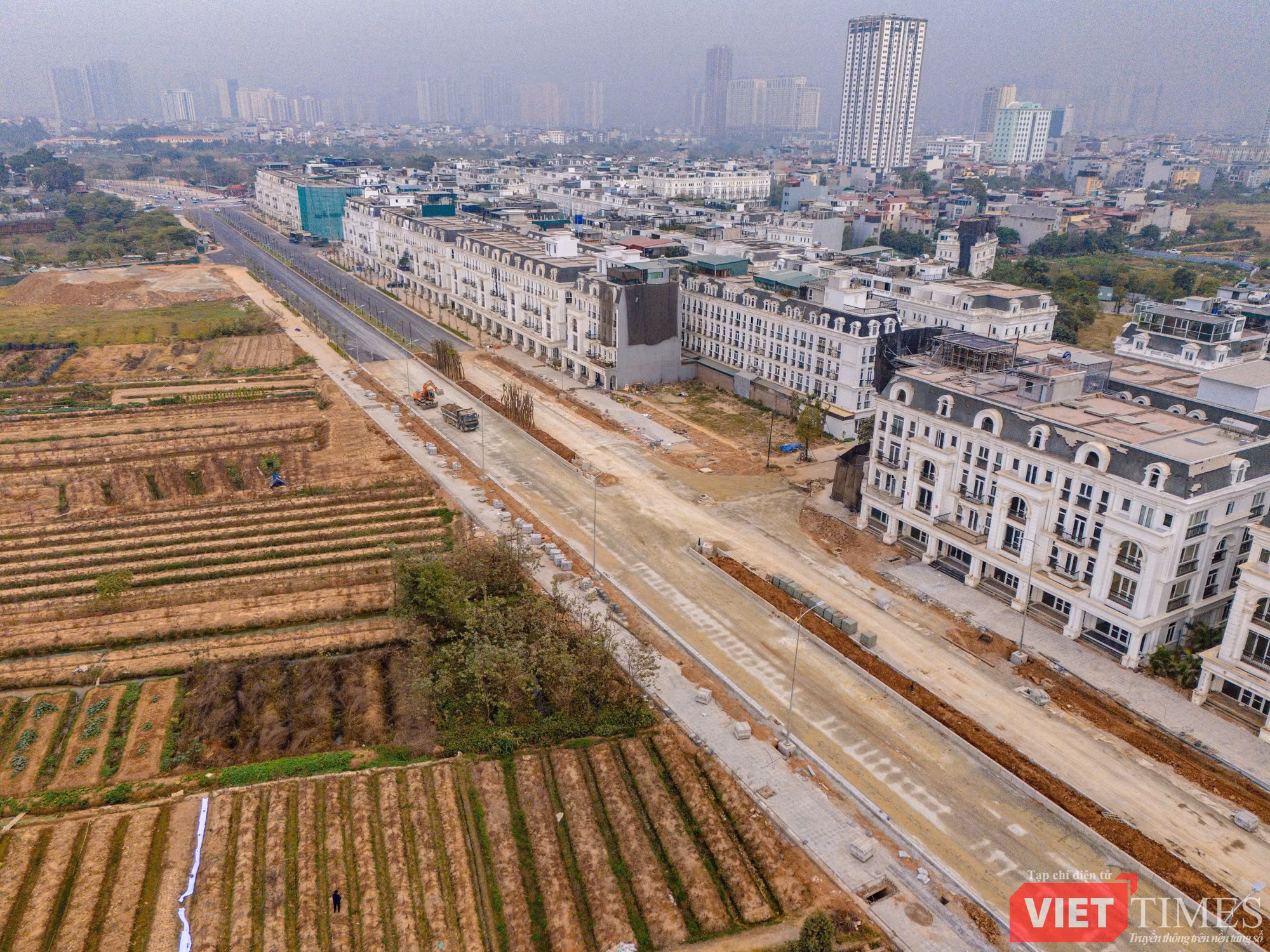 vt-le quang dao.jpg