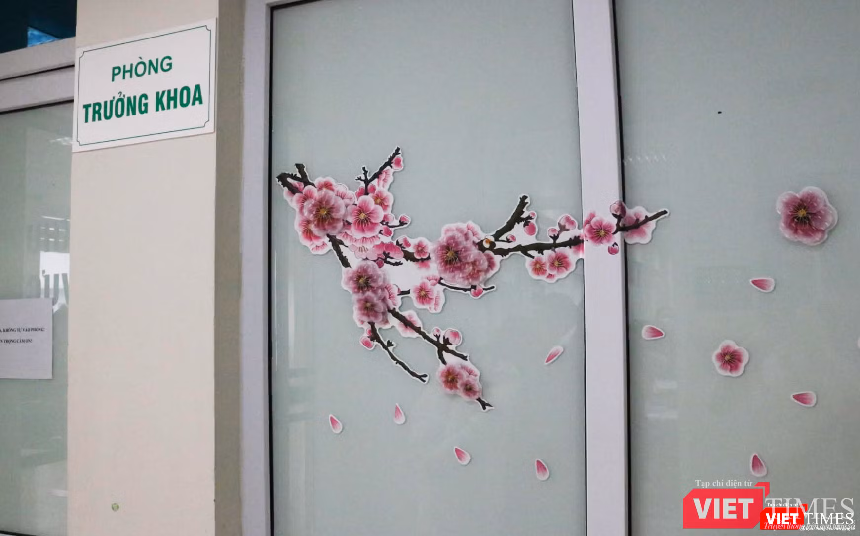 Do đón Tết xa nhà, làm việc 24/24 nên các bác sĩ đã dán hình ảnh cây đào để tạo không khí đón mừng năm mới, thay thế cho cây đào thật (Ảnh - Minh Thuý)