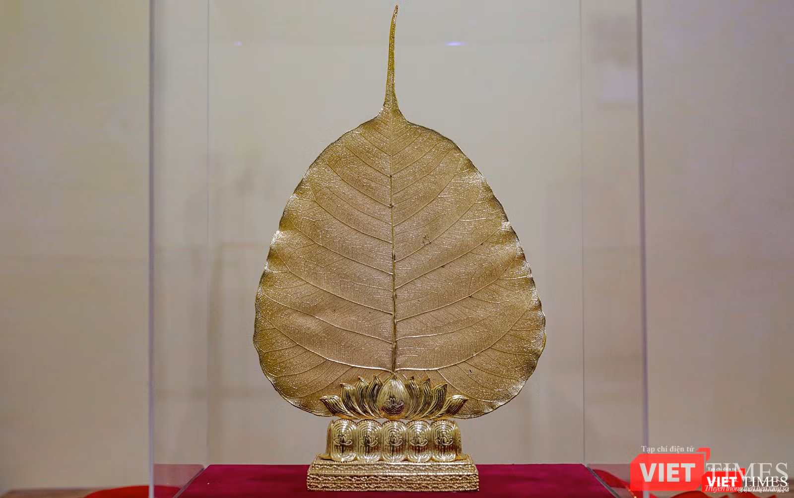 Rộng gần 20cm