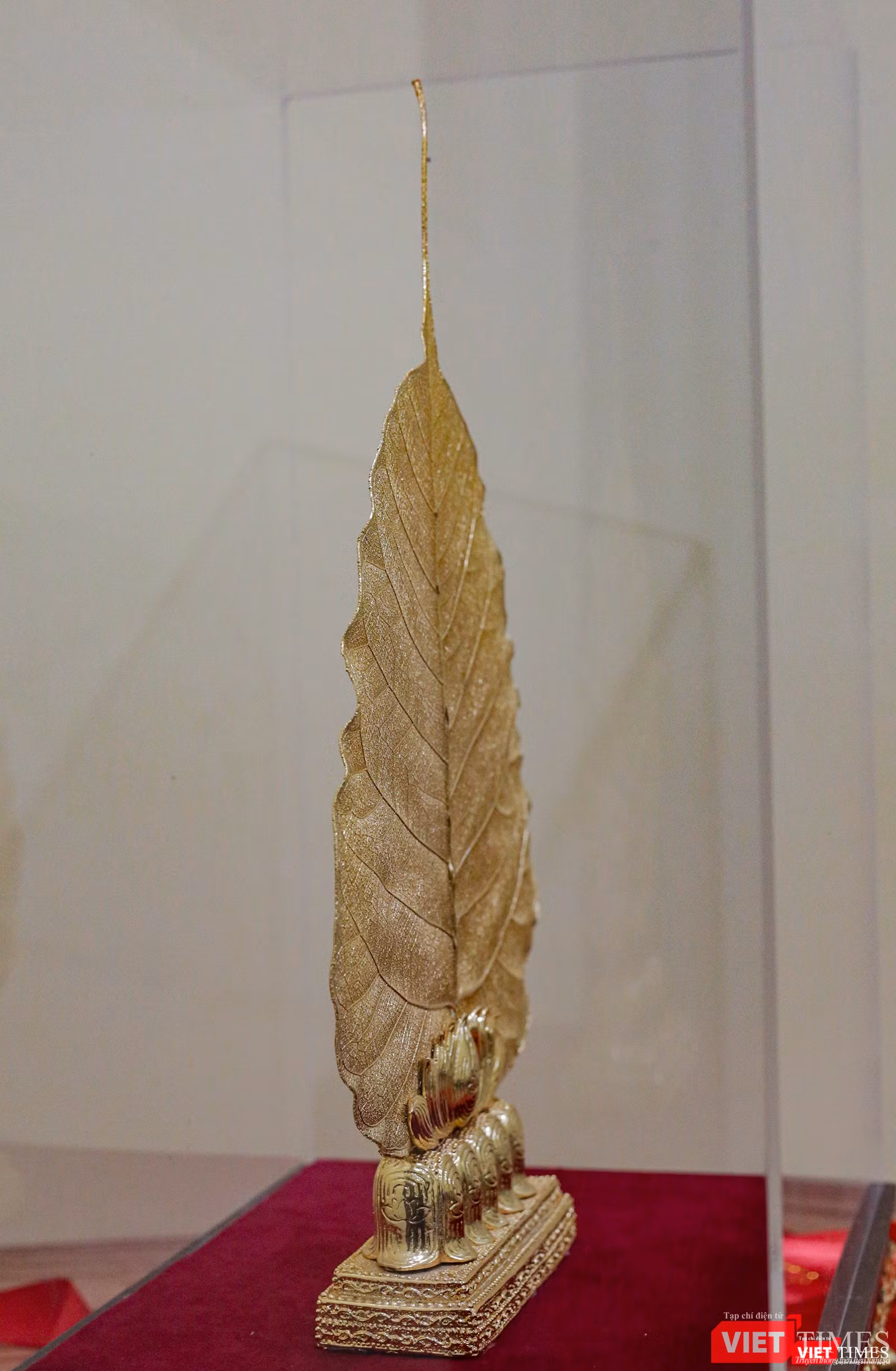 Chiếc lá cao chừng 25cm