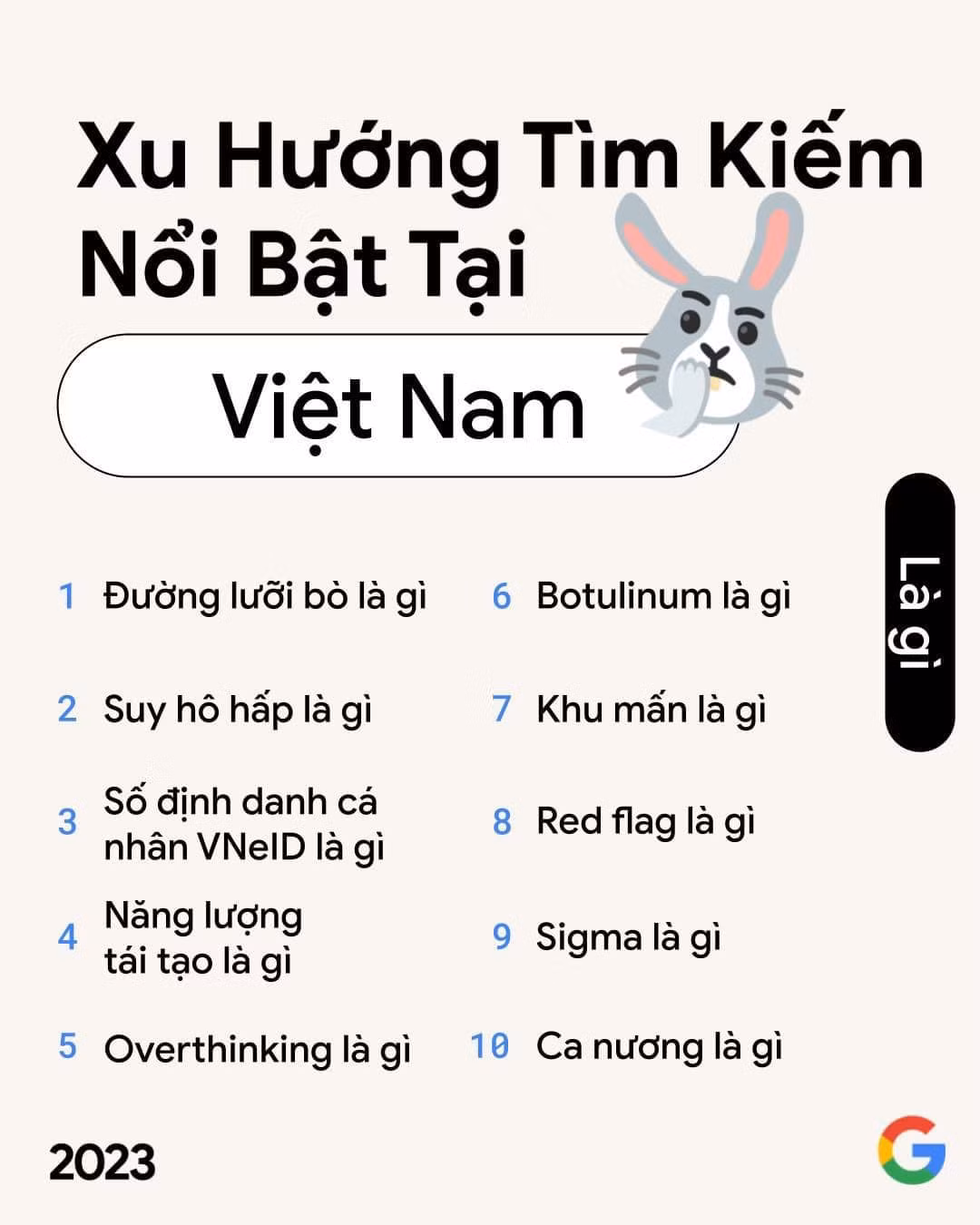 g8.jpg