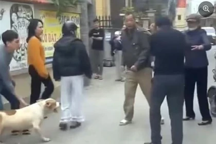 Chó bị xua vào cuộc ẩu đả giữa 2 người đàn ông, quay ra cắn phụ nữ