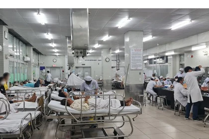 2 người tử vong sau khi uống rượu ngâm, Bộ Y tế yêu cầu truy nguồn khẩn