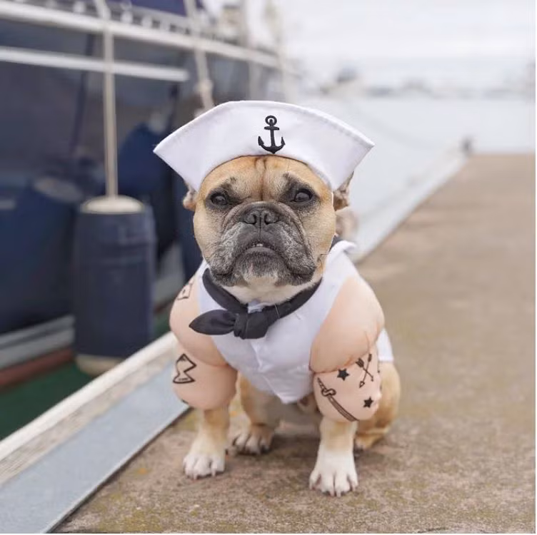 Ảnh:https://www.instagram.com/gusgusinthecity/ Ảnh:https://www.instagram.com/gusgusinthecity/