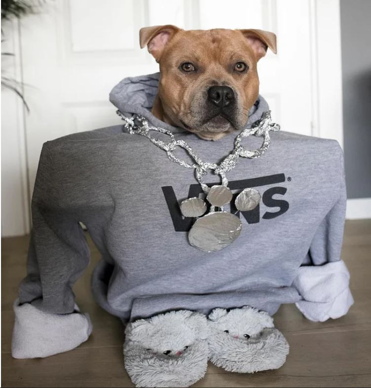 Ảnh: https://www.instagram.com/arnoldstaffzenegger/