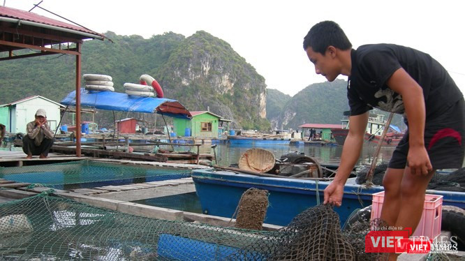 TS Graham Brookes: "Ứng dụng công nghệ sinh học đồng thời mang đến các tính trạng, đặc tính dinh dưỡng có lợi, có thể giúp bù đắp tình trạng suy giảm dinh dưỡng gây ra bởi biến đổi khí hậu"