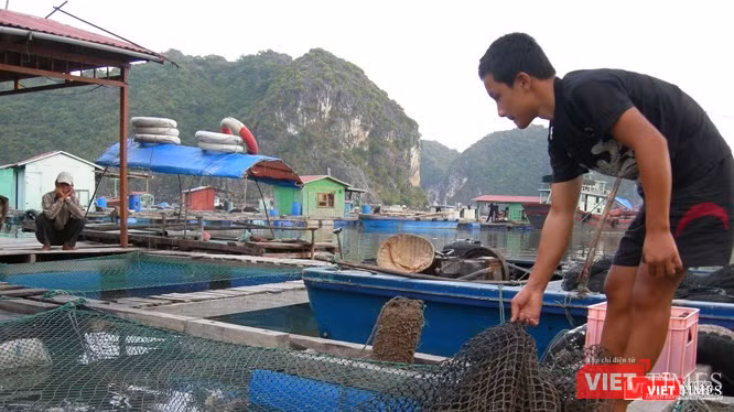 TS Graham Brookes: "Ứng dụng công nghệ sinh học đồng thời mang đến các tính trạng, đặc tính dinh dưỡng có lợi, có thể giúp bù đắp tình trạng suy giảm dinh dưỡng gây ra bởi biến đổi khí hậu"