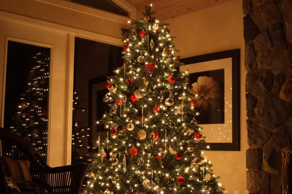 Khẩu độ và tốc độ màn chập là 2 yếu tố quan trọng quyết định ảnh của bạn có đủ sáng hay không (Ảnh: Picturecorrect) Khẩu độ và tốc độ màn chập là 2 yếu tố quan trọng quyết định ảnh của bạn có đủ sáng hay không (Ảnh: Picturecorrect)