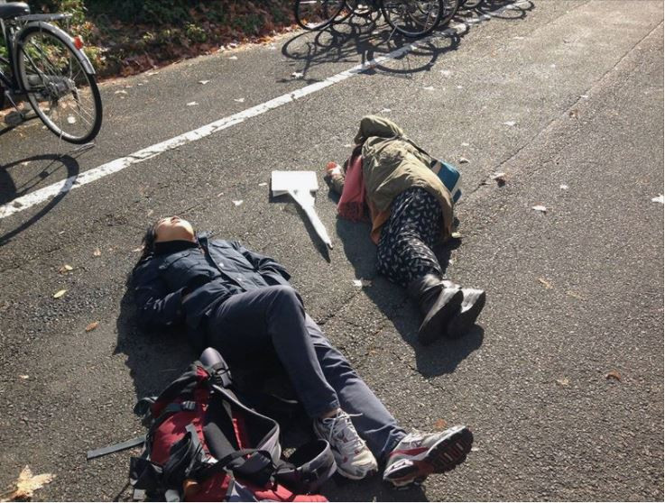 Đây là những hình ảnh thường xuyên được nhìn thấy tại tỉnh Okinawa, Nhật Bản (Ảnh: OC)