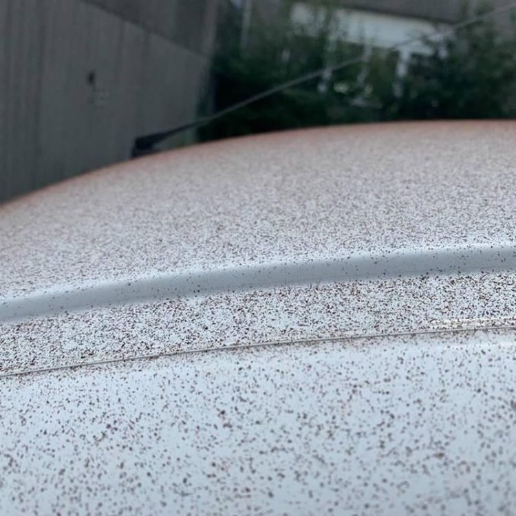 Bột socola bám đầy trên những chiếc ô tô tại thị trấn Olten, Thụy Sĩ (Ảnh: OC) Bột socola bám đầy trên những chiếc ô tô tại thị trấn Olten, Thụy Sĩ (Ảnh: OC)