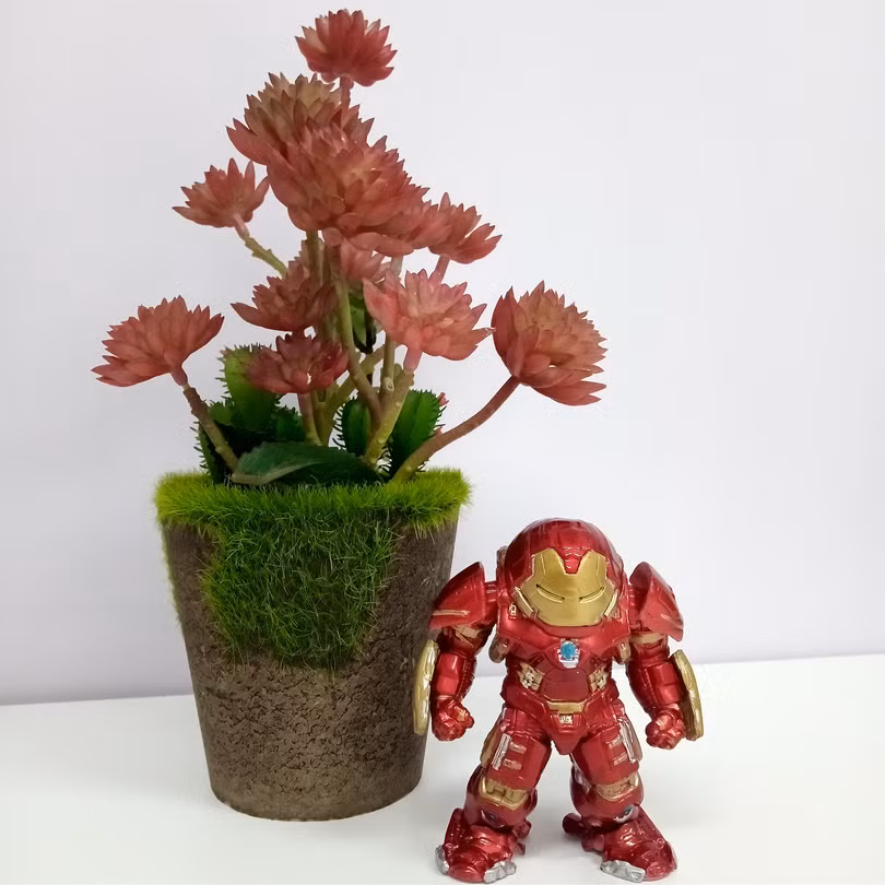 Ảnh chụp trong điều kiện đủ sáng