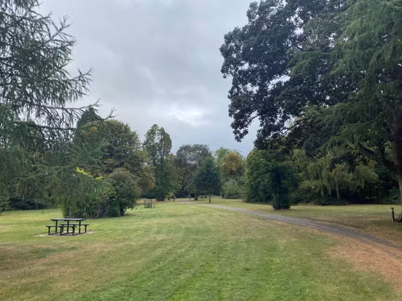 Ảnh chụp trong điều kiện đủ sáng trên iPhone 11 Pro Max (Ảnh: Tech Radar)