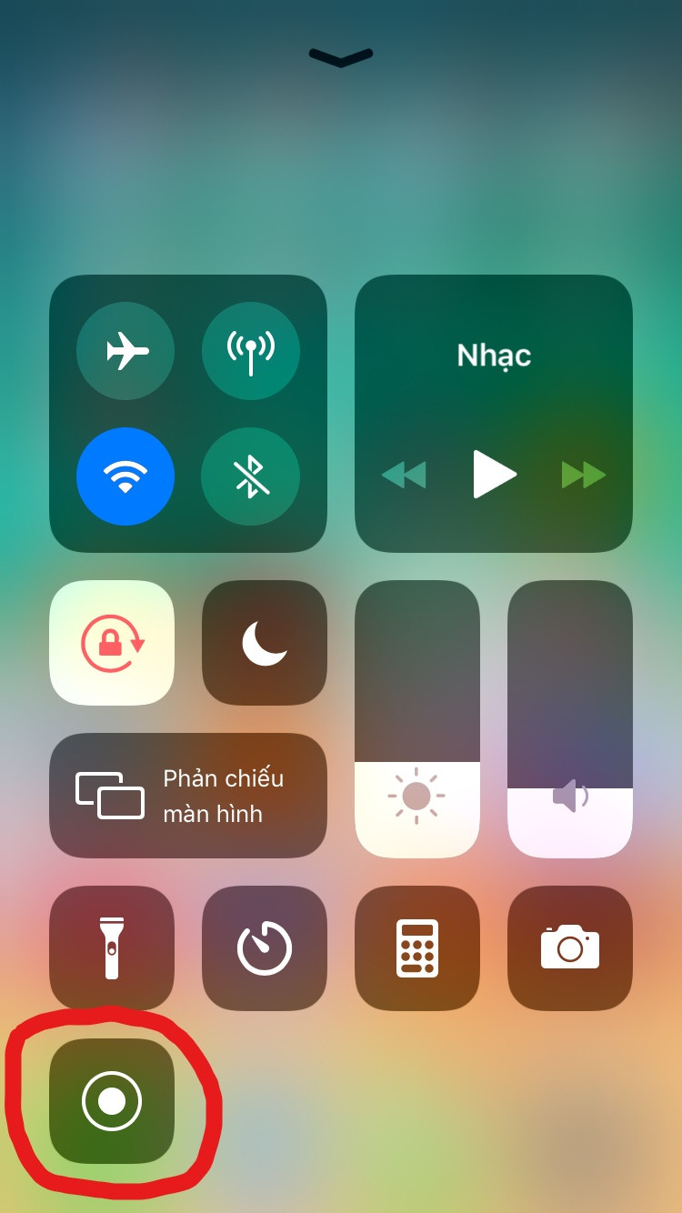 Nút quay màn hình trên iPhone và iPad (Ảnh: Internet)