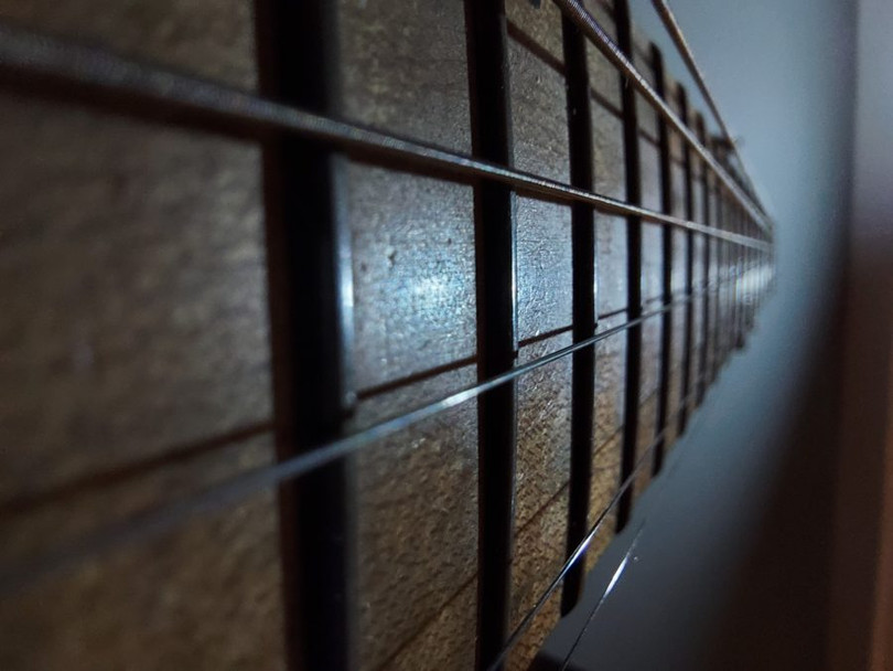 Bức ảnh macro chụp trong điều kiện thiếu sáng của S10 Lite (Ảnh: Android Authority)