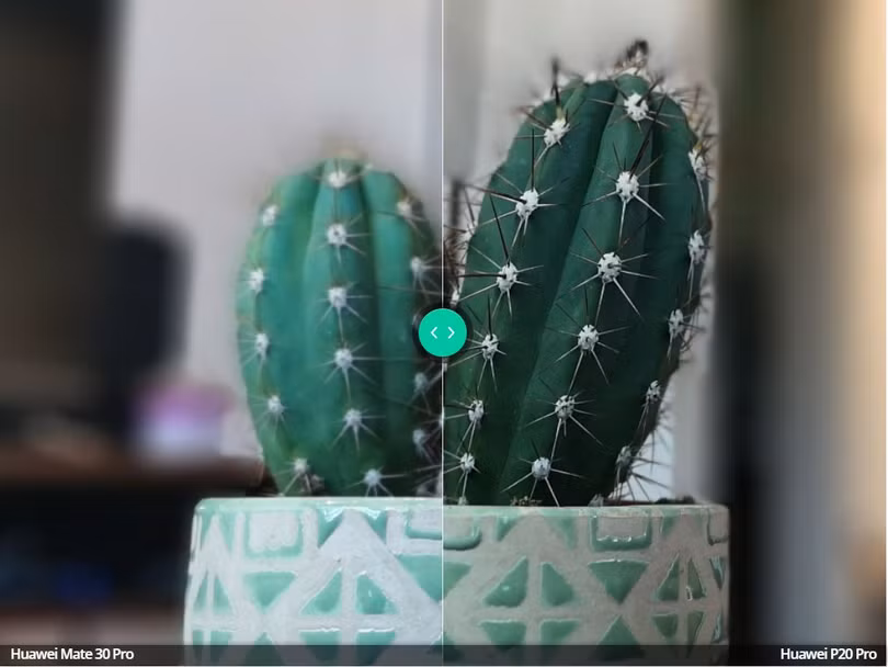 P20 Pro lấy tiền cảnh tốt hơn (Ảnh: Android Authority)