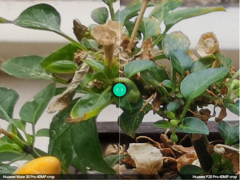 Ảnh: Android Authority