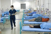 Cảnh giác với thực phẩm chứa độc tố tự nhiên dịp Tết