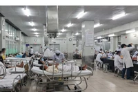 2 người tử vong sau khi uống rượu ngâm, Bộ Y tế yêu cầu truy nguồn khẩn