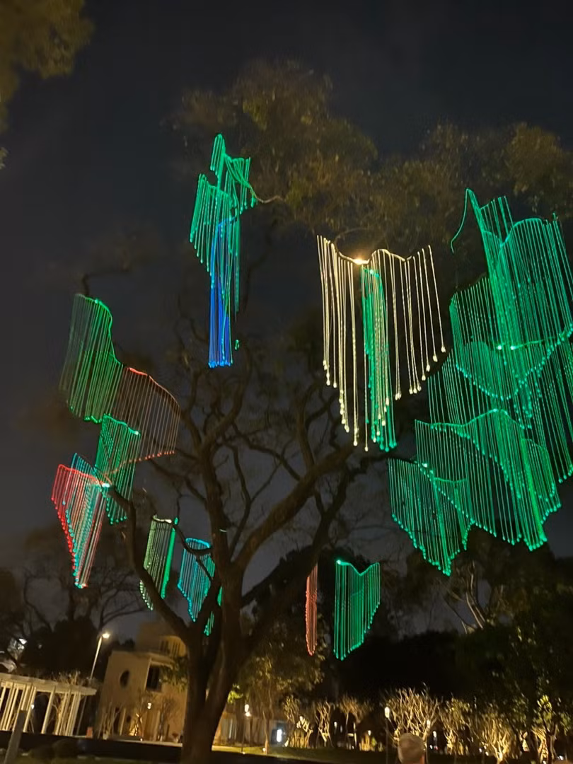 Hệ thống chiếu sáng nghệ thuật trên tán cây tạo điểm nhấn về đêm. Ảnh: Diệu Huyền