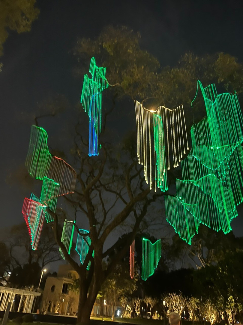Hệ thống chiếu sáng nghệ thuật trên tán cây tạo điểm nhấn về đêm. Ảnh: Diệu Huyền