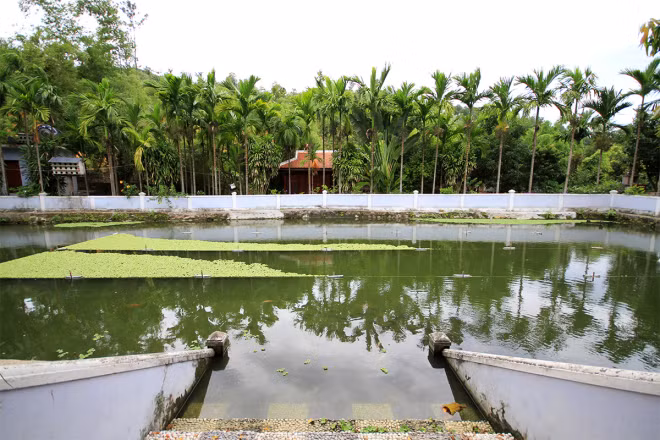 Bên trong biệt phủ trăm tỷ xây trái phép trên rừng Hải Vân ảnh 8