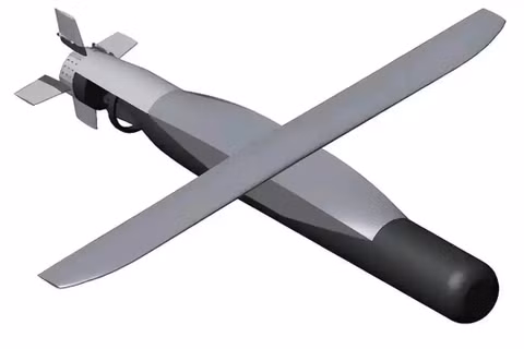 Phác họa ngư lôi chống ngầm phóng từ trên không mang tên “Silent Anvil” Mỹ đang nghiên cứu. Ảnh: Sohu. 