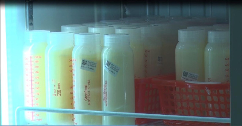 Sữa mẹ được lưu trữ và bảo quản chặt chẽ tại "Ngân hàng sữa mẹ" của BV Từ Dũ