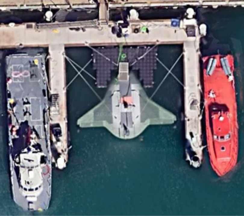 Manta Ray o cang.jpg