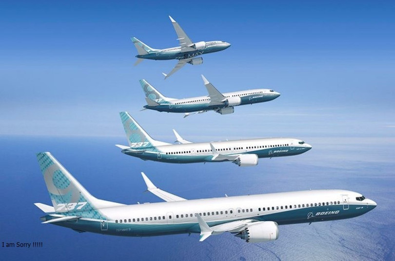 Boeing 737 MAX.jpg