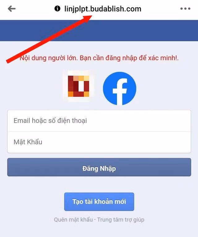 Trang web giả mạo, với giao diện giống Facebook, yêu cầu người dùng phải điền thông tin đăng nhập của Facebook để xem nội dung.