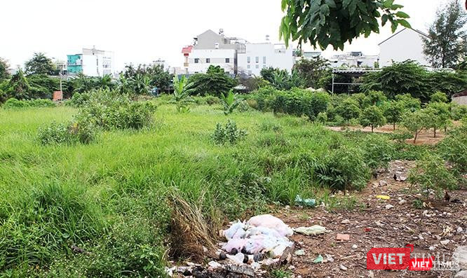 Cỏ dại mọc um tùm trên những nền đất chưa được đưa vào sử dụng trong khu vực dự án. Cỏ dại mọc um tùm trên những nền đất chưa được đưa vào sử dụng trong khu vực dự án.