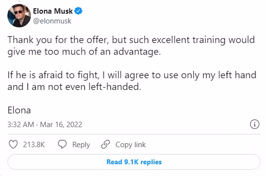 Elon nhân đôi thách thức chống lại Putin