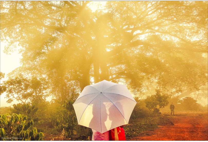 Mẹo giúp chụp ảnh đẹp hơn với điện thoại - Phần 1 ảnh 18